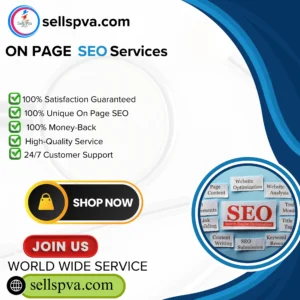 On Page SEO Services